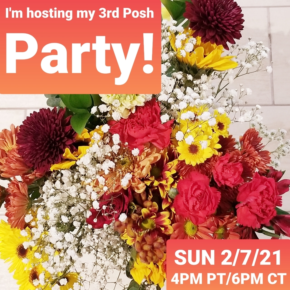 🥳Hosting the Everything Plus Size Posh Party!🥳